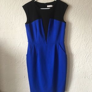 Calvin Klein royal blue and black color block fitted sheath dress